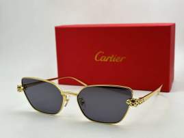 Picture of Cartier Sunglasses _SKUfw79165377fw